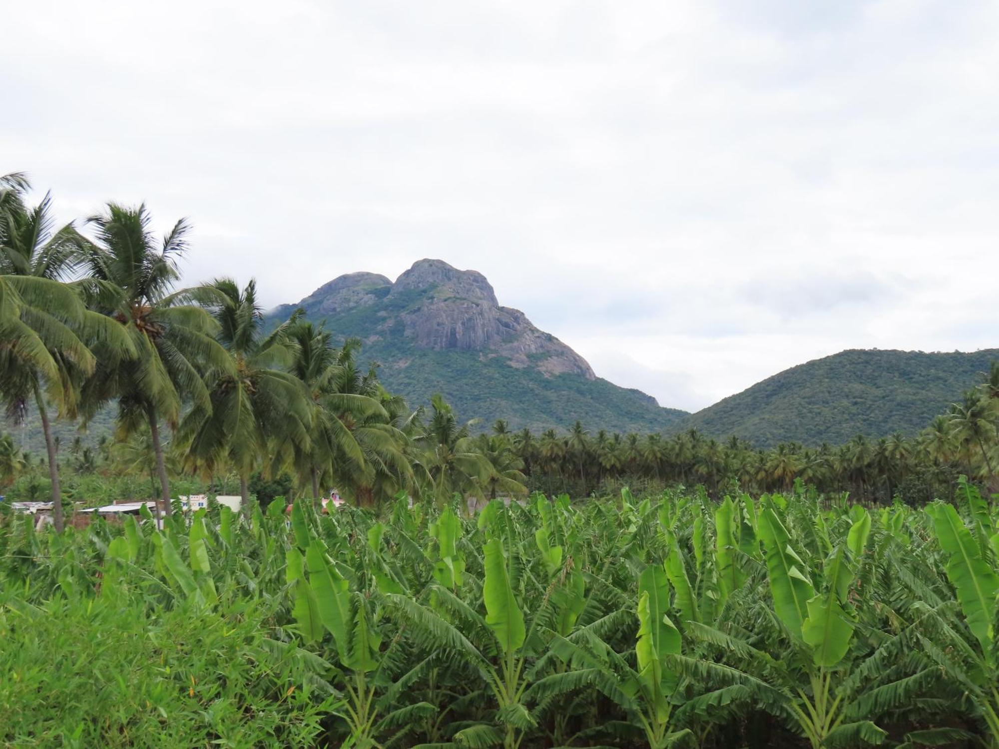 Misty Hills Retreat Hotel โคอิมบาทอร์ ภายนอก รูปภาพ
